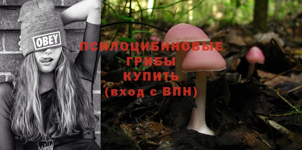 гашиш Белокуриха