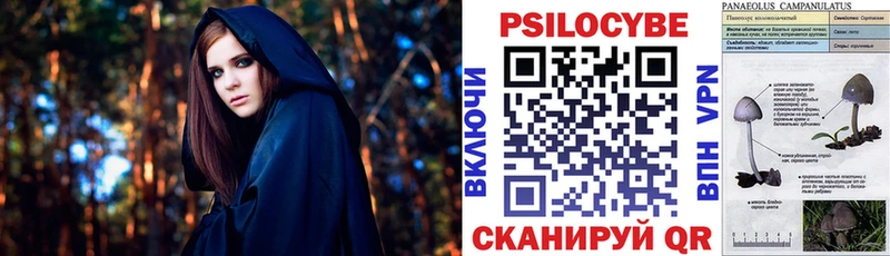 Галлюциногенные грибы Psilocybine cubensis  Великий Устюг 
